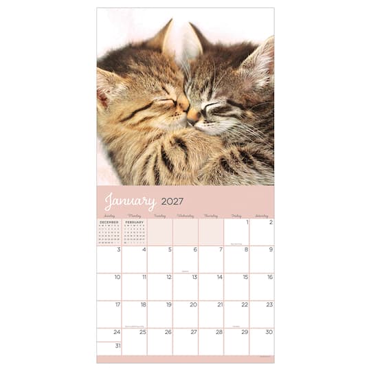 2027 Cat Dreams Wall Calendar